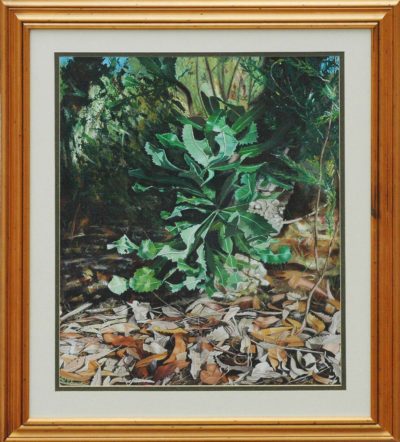 Bushfloor Banksia
