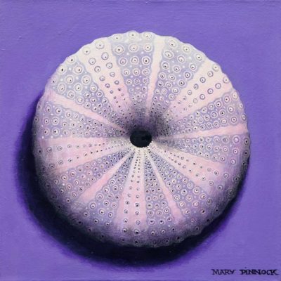 Purple Urchin