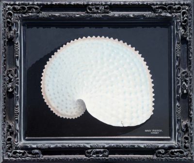 Paper Nautilus