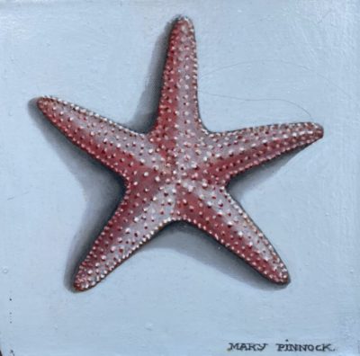 Starfish