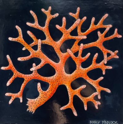 Orange Finger Coral