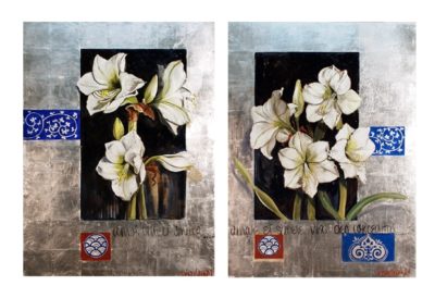 Amaryllis